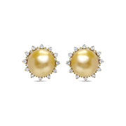 South Sea Pearl Stud Earrings