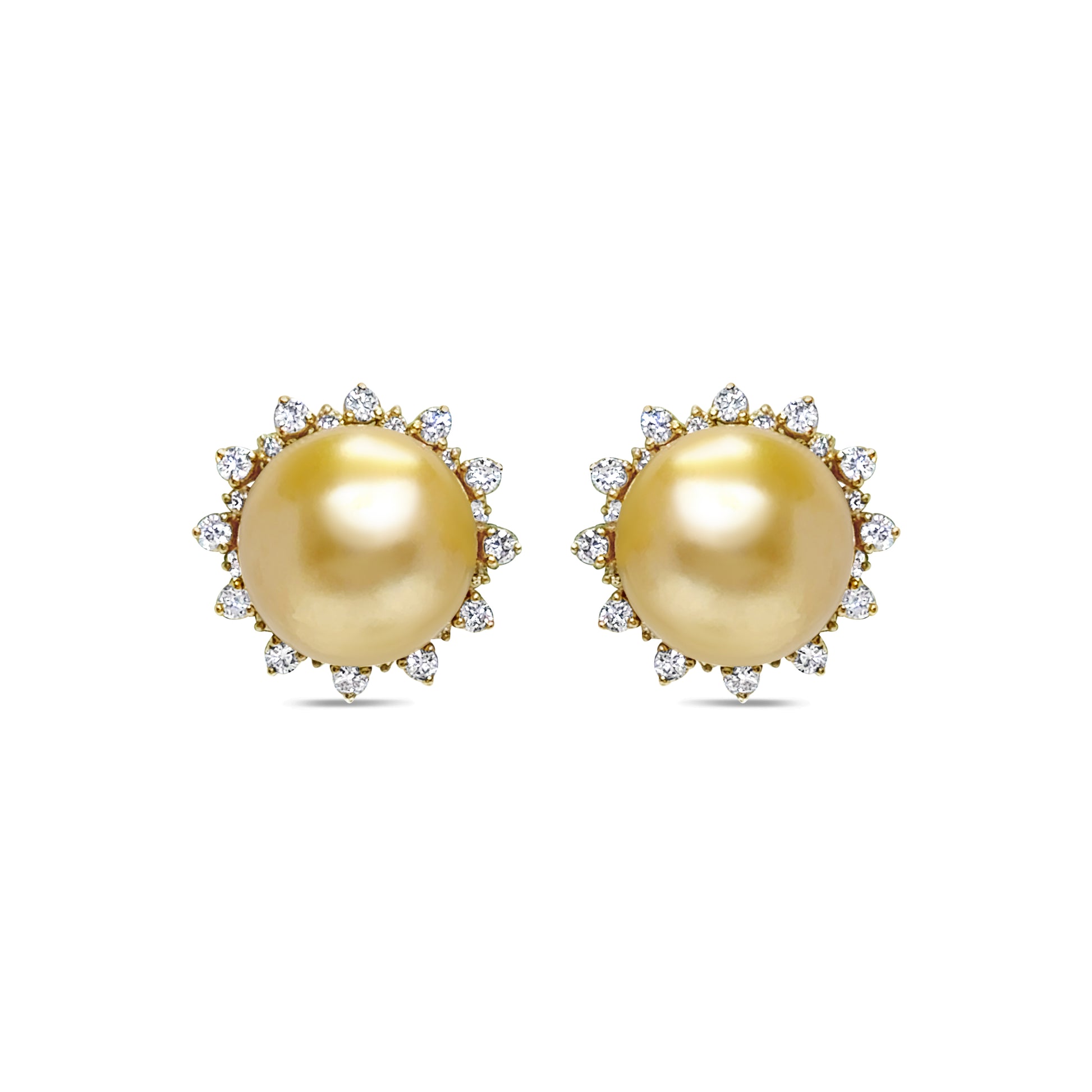 South Sea Pearl Stud Earrings