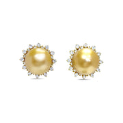 South Sea Pearl Stud Earrings